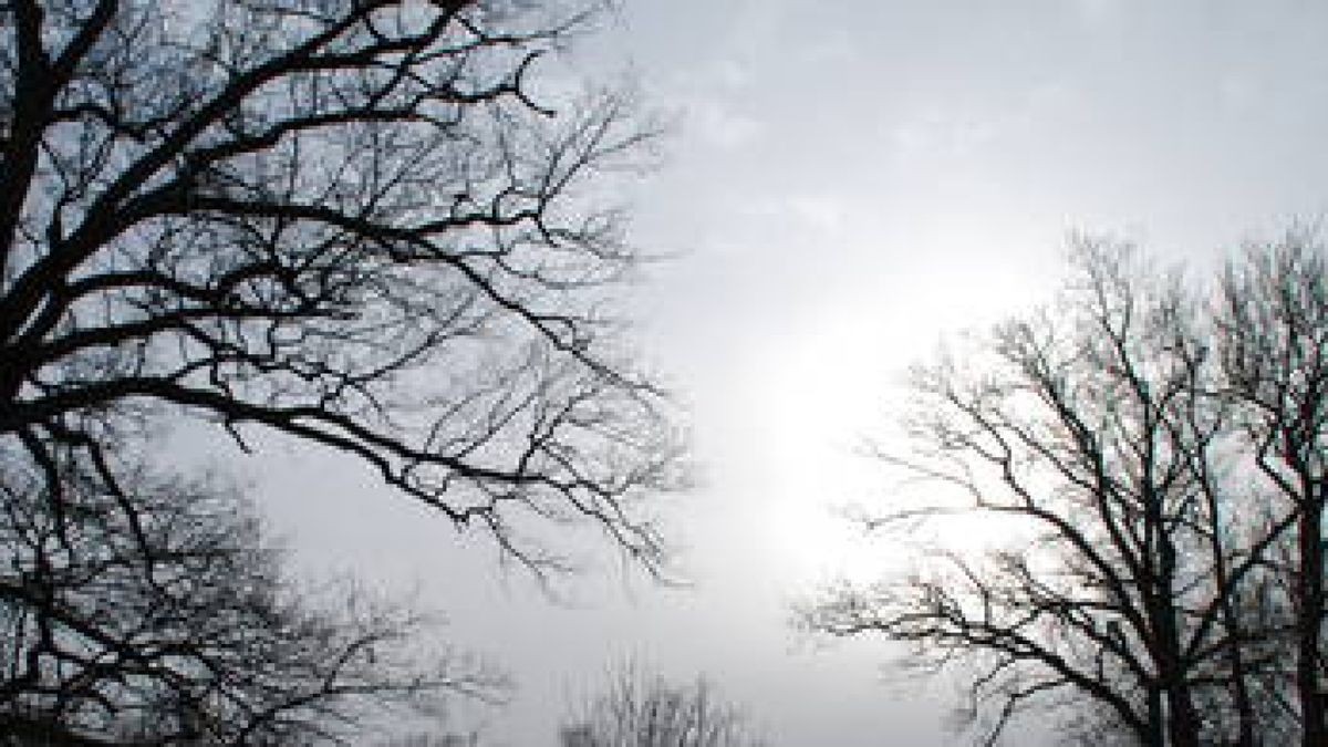 Naturschützer und Grüne gegen Bau im Promenadenweg Saalfeld