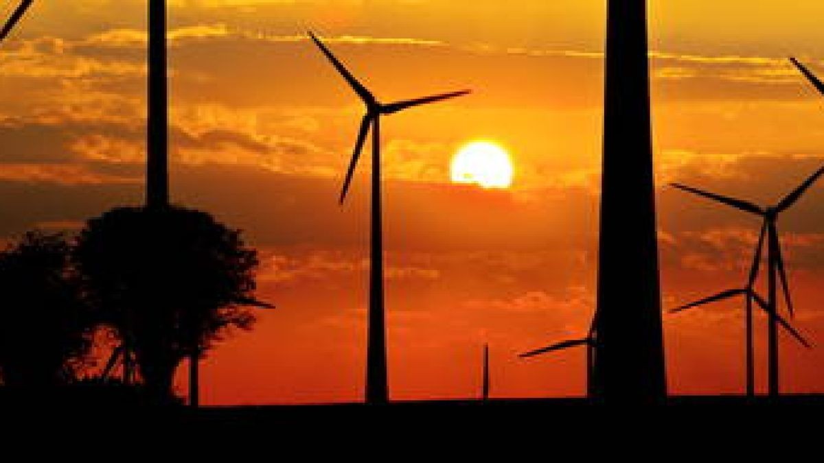 Der Windpark Wangenheim (im Bild) reicht bis an die Gemarkung von Wiegleben heran. Der Park ist der größte seiner Art in Thüringen. Archiv-Foto: Peter Riecke