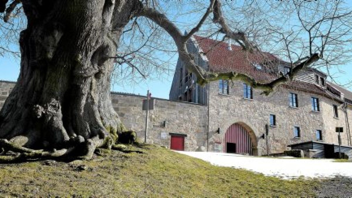 Landkreis Eichsfeld legt neue Liste für Denkmale der Natur vor