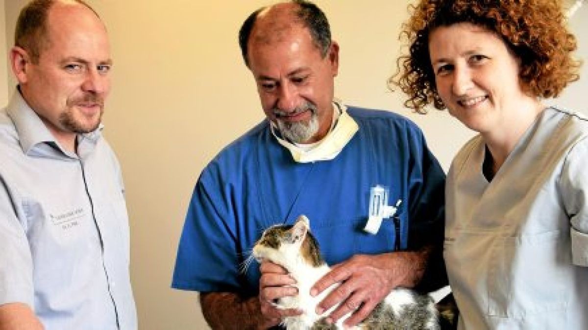 Tierärzte Dr. Pfeil & Monig Partnerschaft Tierärzte Dr. Pfeil & Monig Partnerschaft