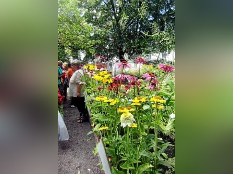 Liebhaberpflanzenbörse im Botanischen Garten Gera