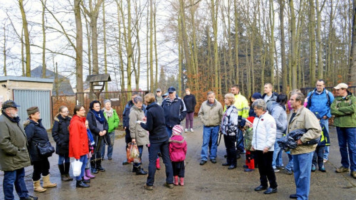Die Suche nach dem Weihnachtsbaum im Pöllwitzer Wald