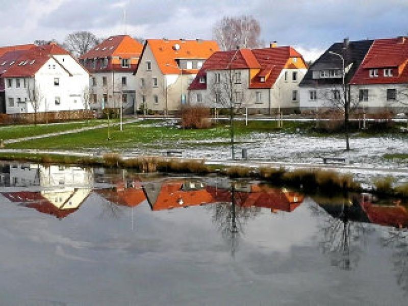 Leserfoto „Märtens Teich“ in der Winterpause