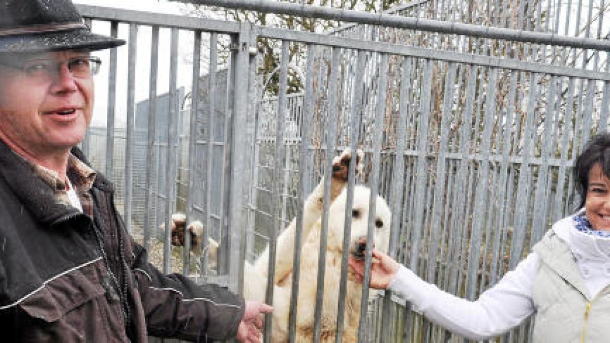 Mischling Ben freut sich, wenn er in Großliebringen Besuch bekommt – hier Tierpensionschefin Sylke Mönch mit Arnstadts Noch-Tierheimchef Steffen Bickel. Foto: Michael Keller