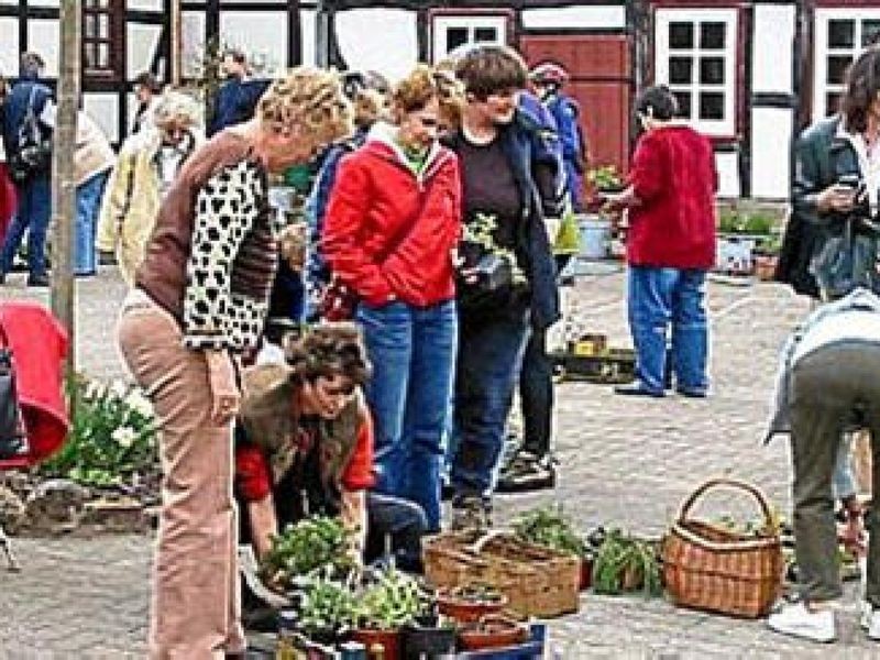 Wichtiger Termin im Kalender für Eichsfelder Hobbygärtner