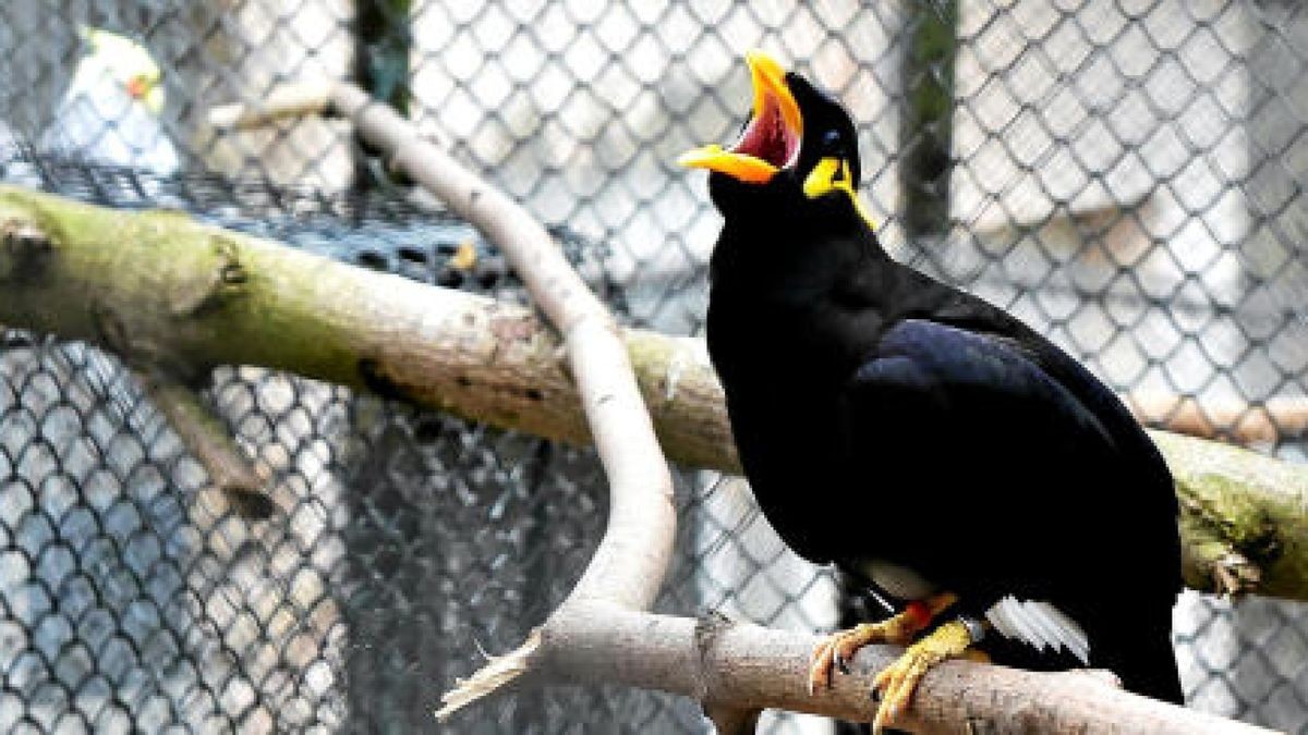 Der Erhalt des Arnstädter Tierparks – hier Beo Petra – ist trotz finanzieller Probleme der Stadt der Wunsch vieler Arnstädter Bürger. Foto: Christoph Vogel