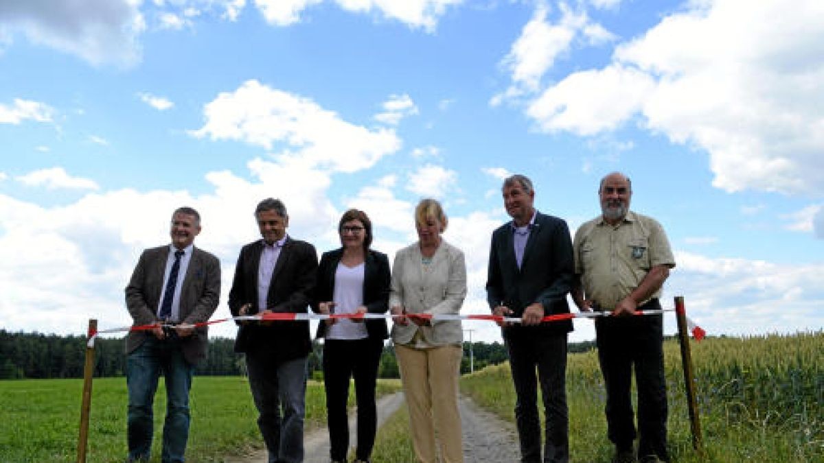 Sagen begleiten durch Pöllwitzer Wald