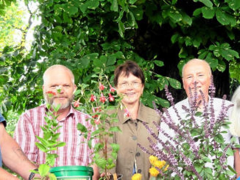 Ein Fest der Blüten und Pflanzen mitten im Sommer im Botanischen Garten