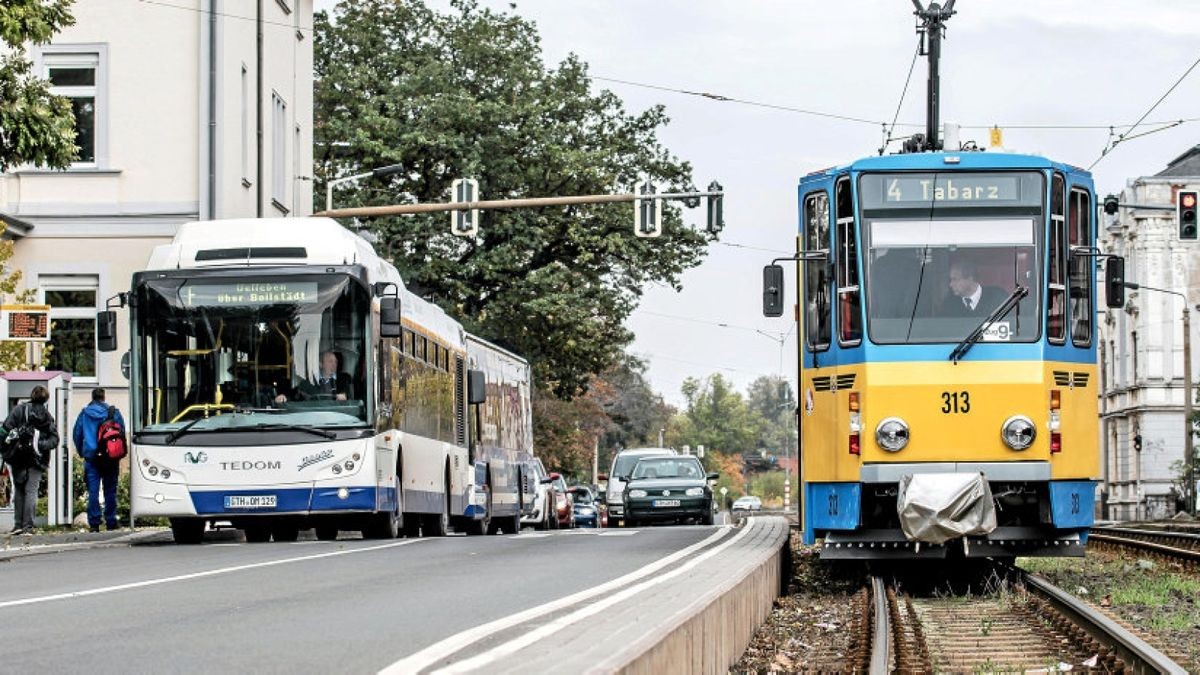 Bus und Bahn ergänzen sich. Foto: Peter Riecke