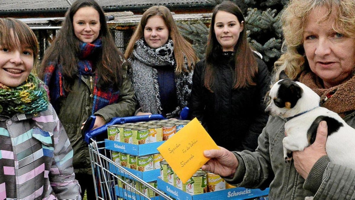 Klara, Saskia, Julia und Nicole übergaben an Birgit Schneider (mit Hündchen Püppi) stellvertretend für ihre Mitschüler eine Futter- und Geldspende.Foto: Ina Renke