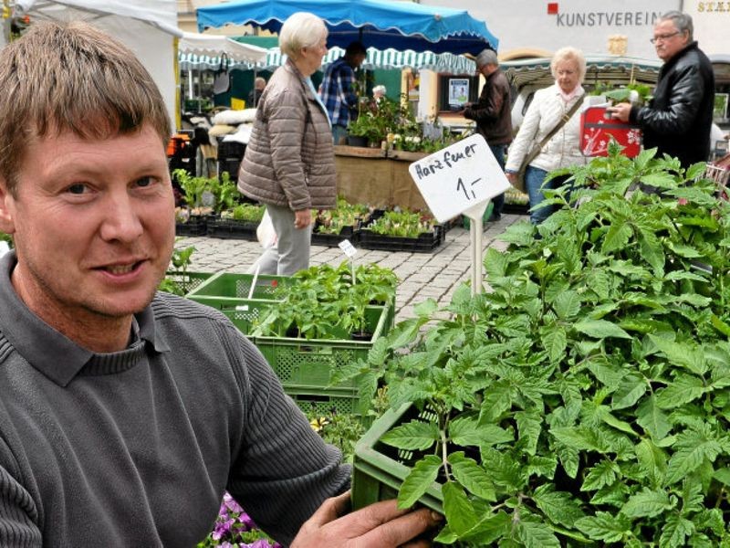 45. Gärtnermarkttage in Gera Tipp von Andreas Giegold vom