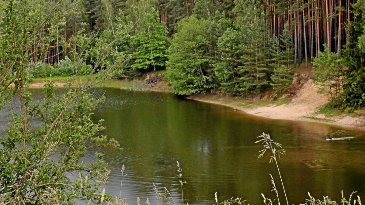 Pößneck Im Teich badet jeder auf eigene Gefahr