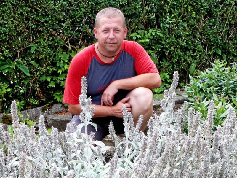 Mein schöner Garten Frank Hoffmann und Martin Angles bauen sich ein