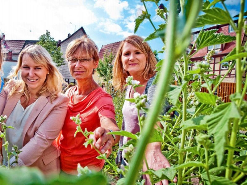 „Nacht der Gärten lockt mit Kräutern, Schokolade und Rosen