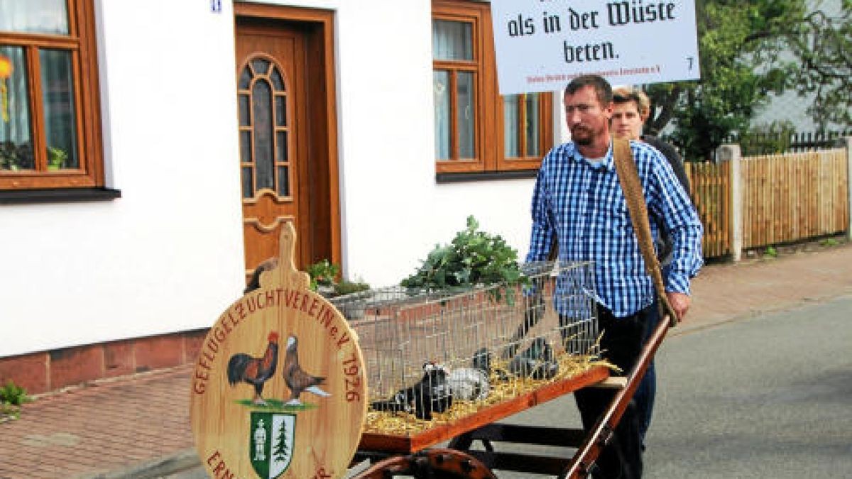 Ein großer Festumzug beschließt die Luther-Woche in Tambach-Dietharz. Hunderte Mitwirkende setzen in 33 Bildern Tambach-Dietharz in der Zeit vor 500 Jahren in der Reformation in Szene. Foto: Wieland Fischer