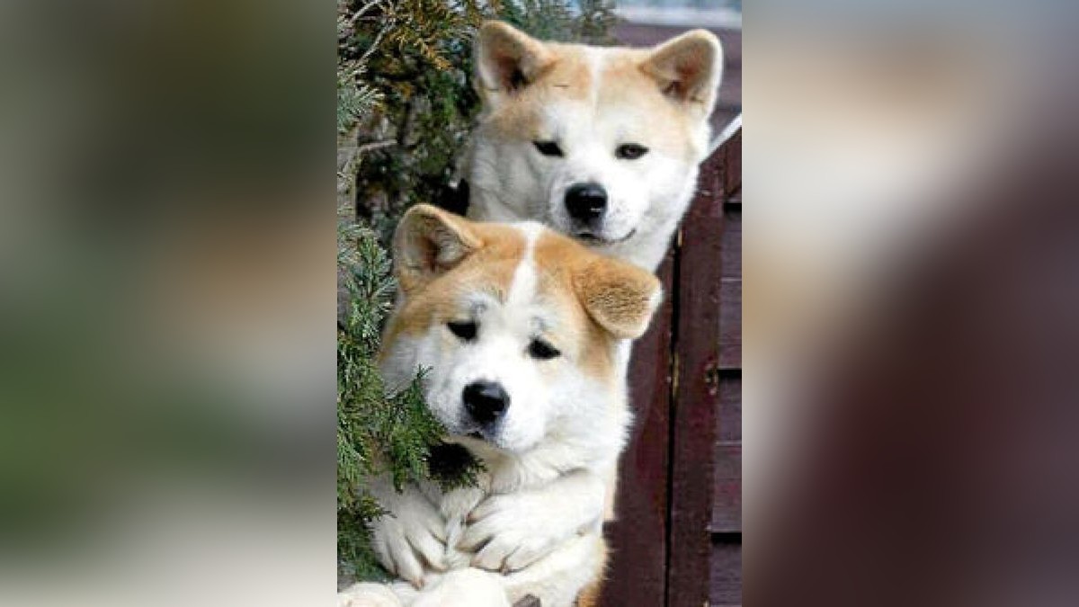 Das sind Magnus und Mimi aus Stadtilm. Danke für das Foto, Kirsten Siebarth.