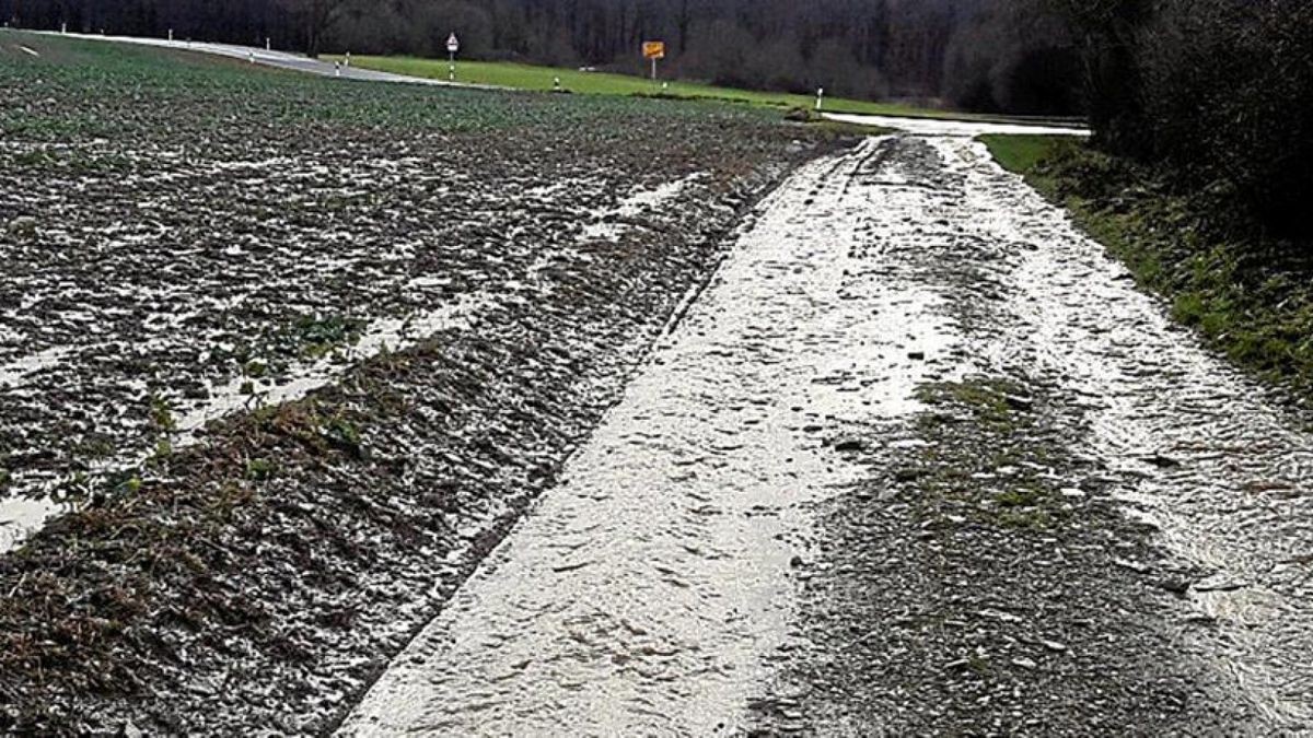 Neben dem vor vielen Jahren auf Privatgrund angelegten Feldweg am Rand von Flinsberg gibt es zurzeit keinen Entwässerungsgraben. Foto: Josef Brodmann