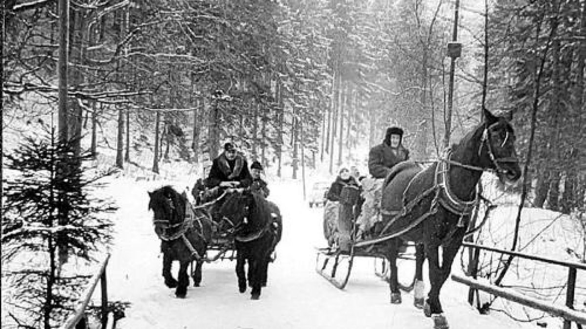 Auch heute noch beliebt: Eine Fahrt durch den winterlichen Wald. Foto: Andreas Mussmann