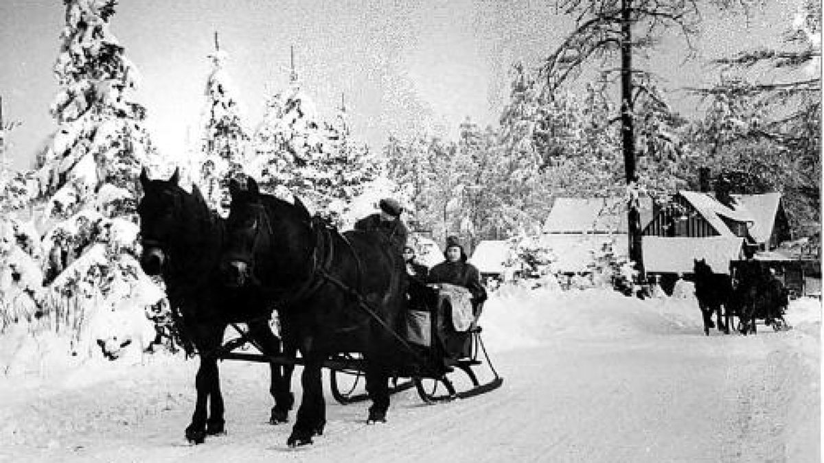 Bei Winterurlaubern im Thüringer Wald besonders beliebt sind Fahrten mit dem Pferdeschlitten - so wie hier 1985. Foto: Sascha Fromm