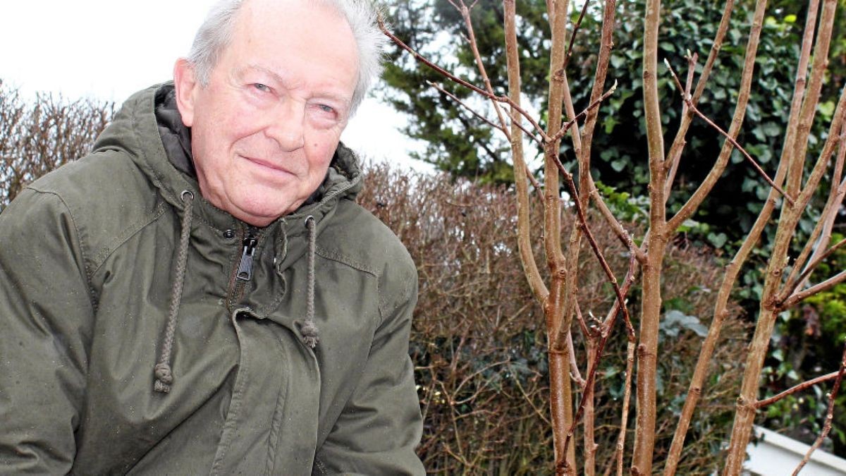 Günter Romeis „Der mit den Patienten spricht“