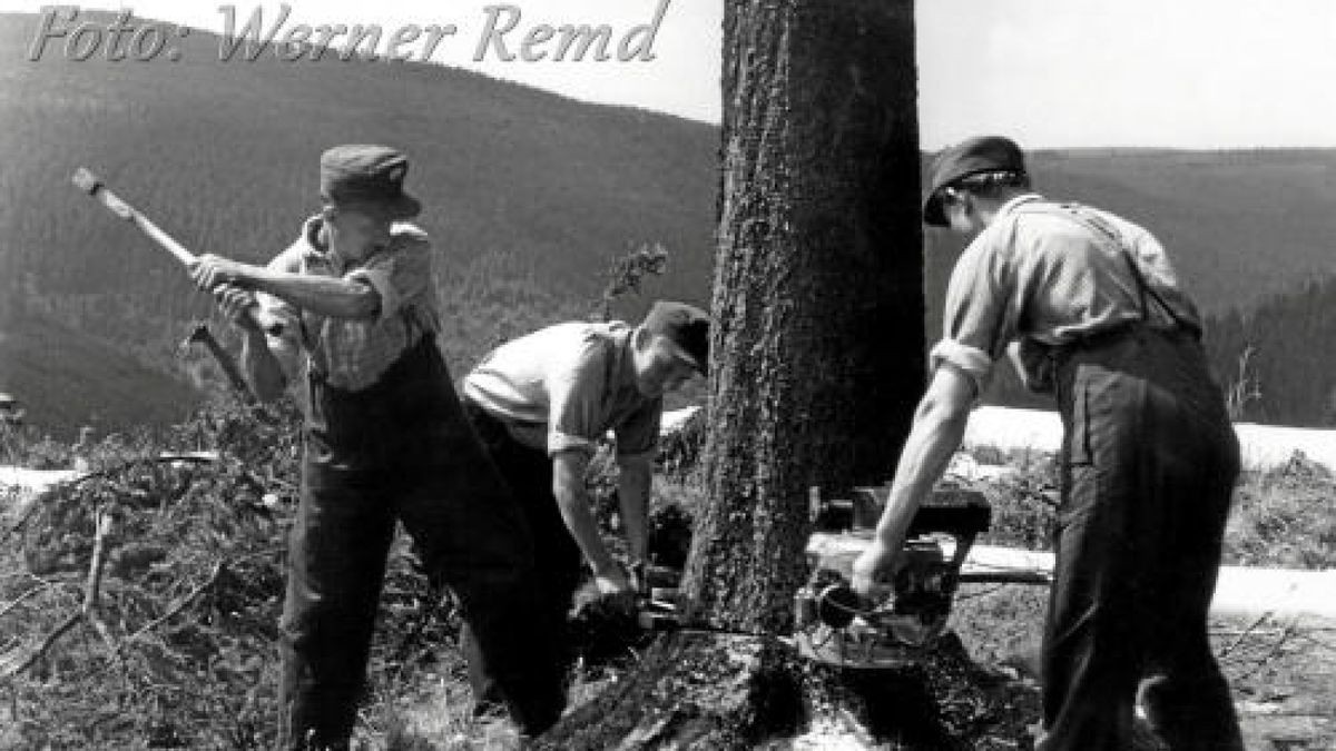 Holzfäller im Thüringer Wald nahe Gehlberg.