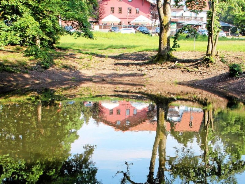 Friedrichroda Teich nahe der Tanzbuche wieder ganz natürlich