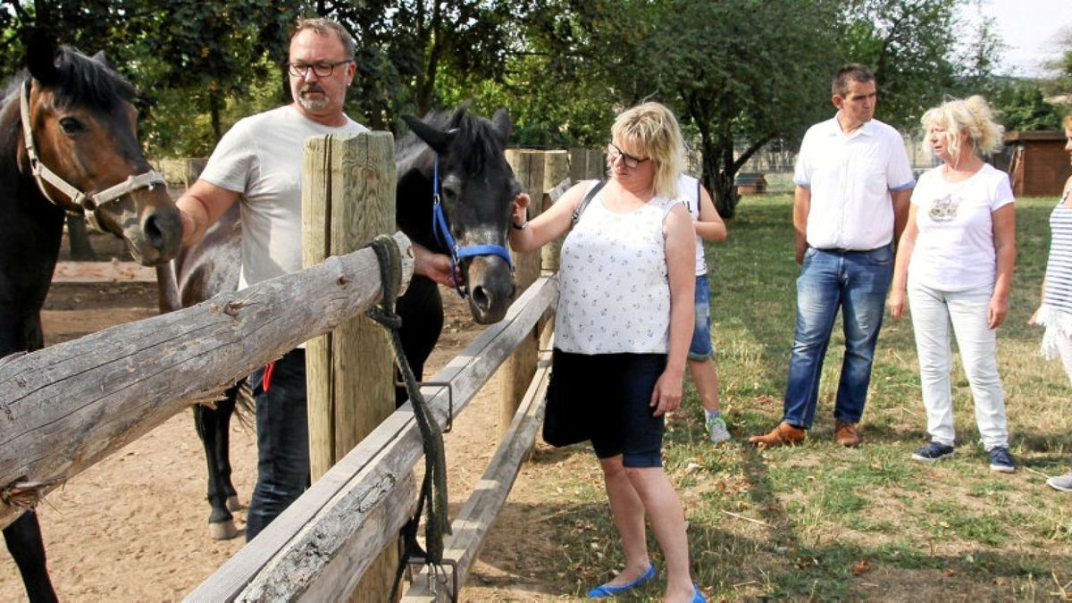 Tierheim Gehofen will bauen und den Quarantänebereich erweitern