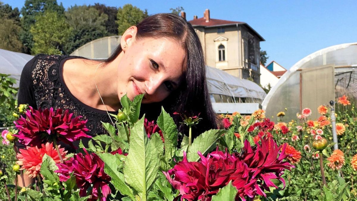 Jenny I. ist die neue Dahlienkönigin in Bad Köstritz