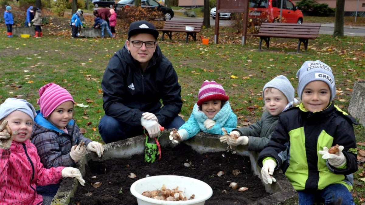 Im Bürgerpark Osterburgstraße haben Kinder und Erzieher Narzissen- und Tulpenzwiebeln gesteckt.