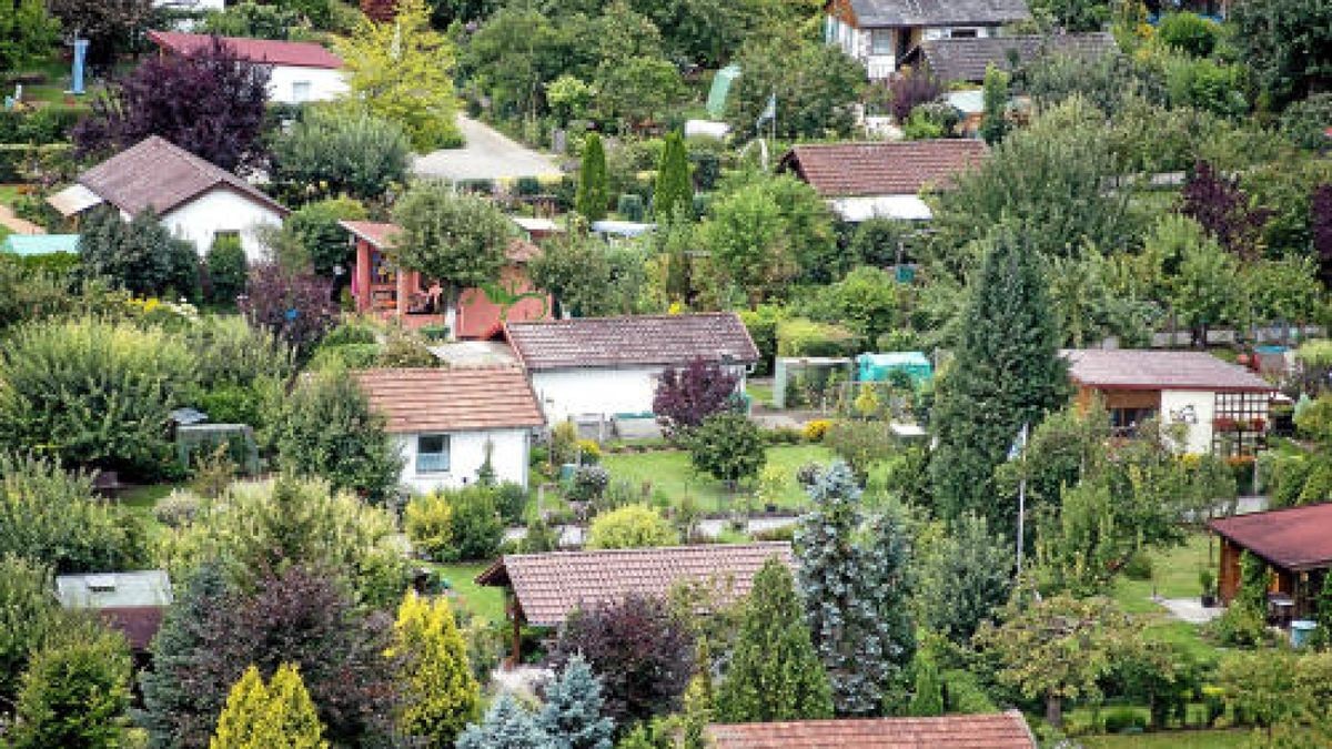 Kurioser Diebstahl aus einer Gartenanlage in Artern. Am 22. April hinterließ ein Mann an seinem Grundstück einen Zettel, dass er etwas zu verschenken hatte, meinte damit aber eigentlich nur zwei Pflanzen. Als diese von einem Gartenfreund mitgenommen wurden, blieb der Zettel hängen. Die Folge: alles im Gartenhaus wurde mitgenommen. Symbolfoto: dpa