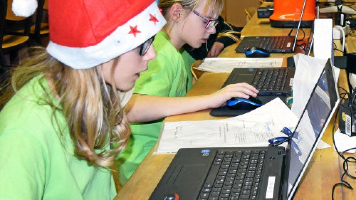 Konzentriert schauen die Schüler auf die Computerschirme. Was sie hier selbst entwerfen, wird mit einem 3D-Drucker in greifbarer Form ausgeworfen.Foto: Berit Richter