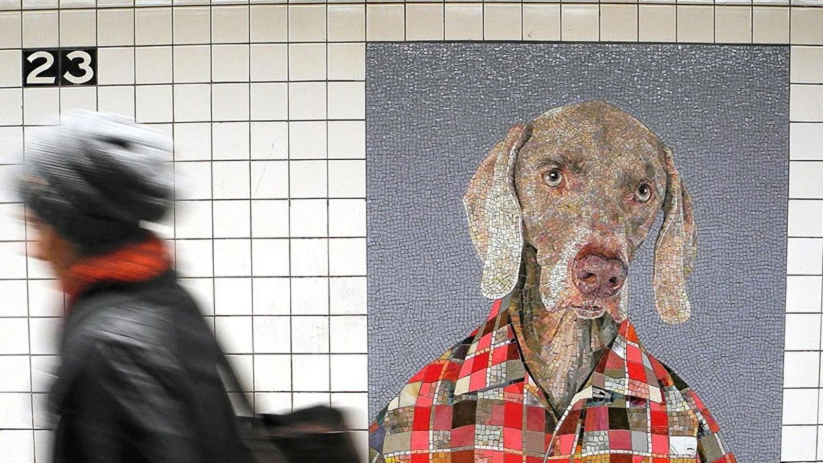 Ein Mosaik im U-Bahnhof 23rd Street zeigt eine Arbeit des Künstlers William Wegman, der seine Weimaraner-Hunde regelmäßig fotografiert und dafür teils auch verkleidet.