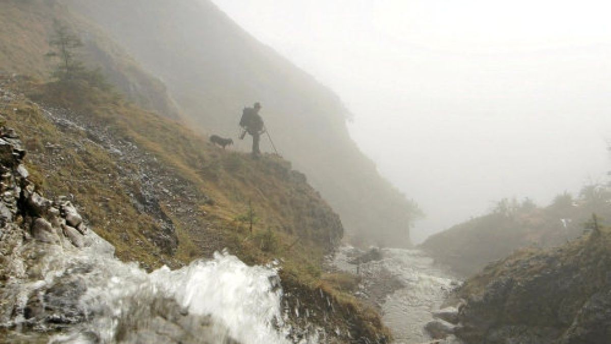 Beitrag zu den 5. Thüringer Naturfilmtage im Kino im Schillerhof in Jena am 15. und 16. März 2019: 