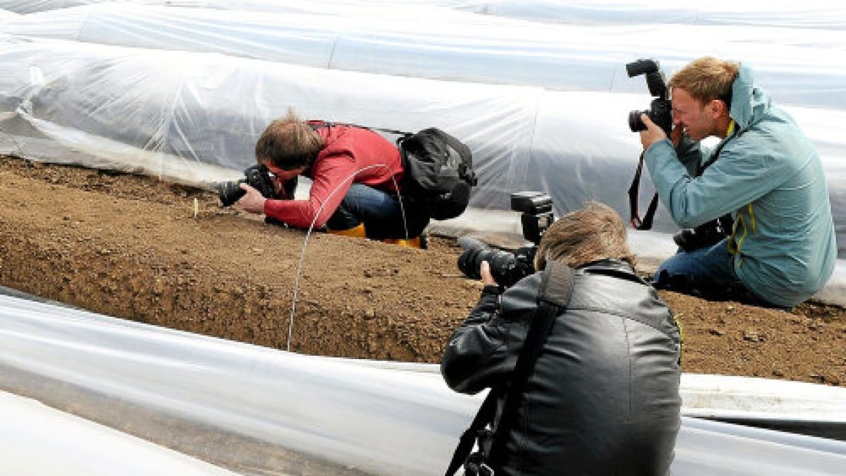 Wann der Spargel aus der Erde lugt, wollen die Menschen gern wissen. Die Suche nach dem „Spargelhof Kutzleben“ landete auf Platz drei der Jahrescharts von Google für unseren Landkreis. Foto: