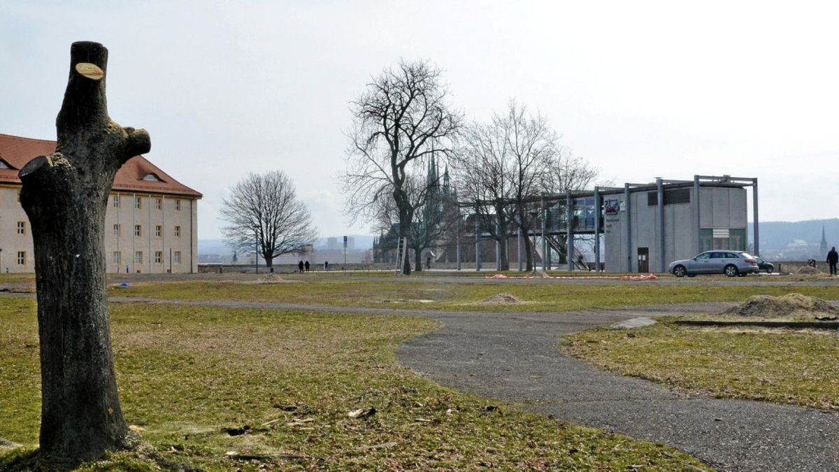 Kahlschlag auf dem Petersberg-Plateau in Erfurt.