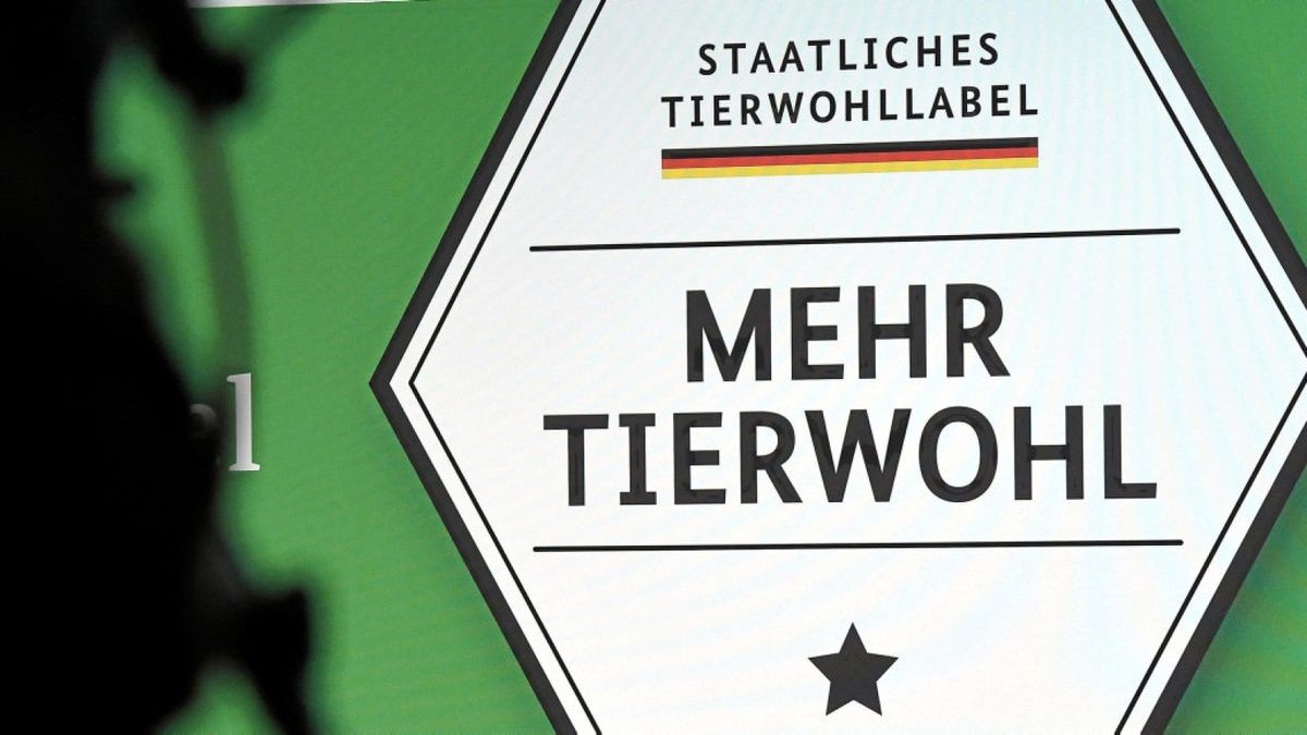 Das staatliche Label für mehr Tierwohl wurde bereits im Januar auf dem Messegelände auf der Internationalen Grünen Woche vorgestellt. Archiv-