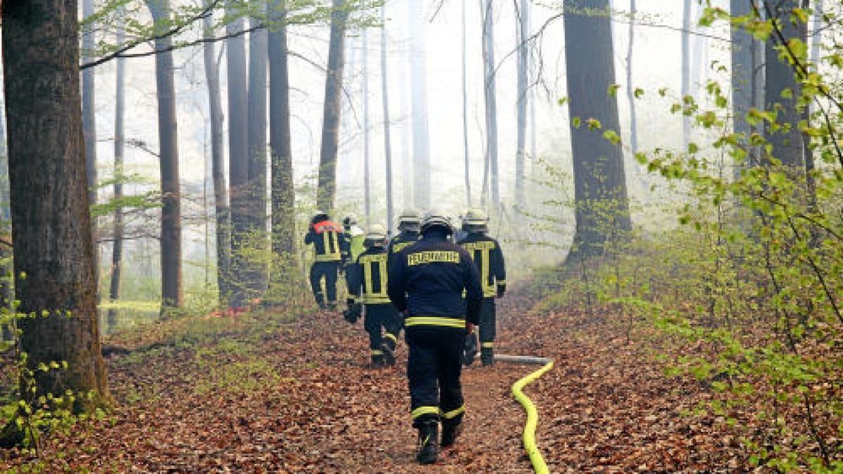 Die Polizei geht davon aus, dass das ursprüngliche Feuer am Sonntag durch das Abbrennen von Feuerwerkskörper entstanden sein könnte. Augenzeugen hatten von einem Knall gesprochen, ehe das Feuer sichtbar wurde.