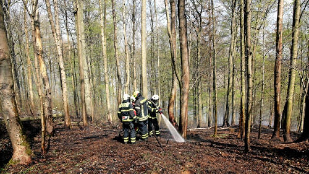 Seit Ostersonntag kämpfen hunderte Feuerwehrleute gegen einen Waldbrand am Heinrichstein bei Saaldorf (Saale-Orla-Kreis).