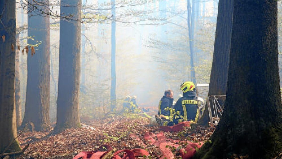 Seit Ostersonntag kämpfen insgesamt hunderte Feuerwehrleute gegen einen Waldbrand am Heinrichstein bei Saaldorf (Saale-Orla-Kreis).