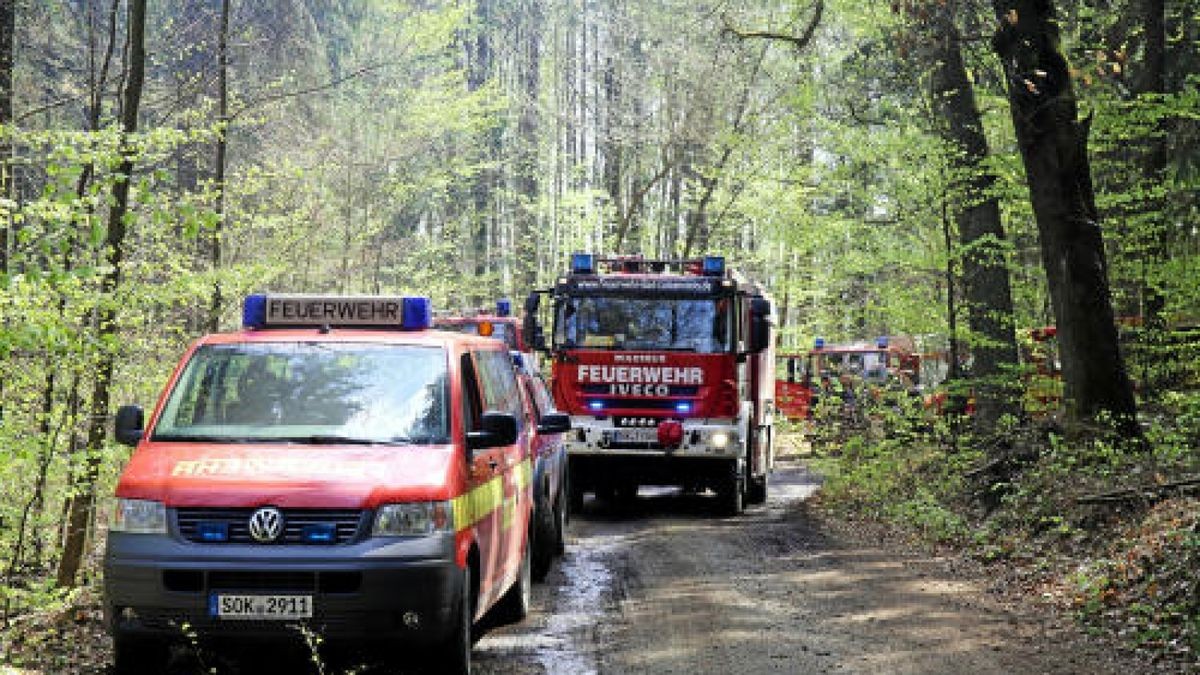 Seit Ostersonntag kämpfen hunderte Feuerwehrleute gegen einen Waldbrand am Heinrichstein bei Saaldorf (Saale-Orla-Kreis). Zweimal dachten die Kameraden, dass sie die Flammen unter Kontrolle gebracht hätten - und wurden eines besseren belehrt. Am Montag hatten die freiwilligen Helfer noch gehofft, dass das Feuer auf rund 3.000 Quadratmetern endlich gelöscht sei. Doch Dienstagvormittag stieg wieder eine dichte Rauchsäule empor - und dieses Mal könnte die Lage noch gefährlicher sein. Denn starke Windböen fachen den Waldbrand immer wieder an, der zurzeit außer Kontrolle scheint. Immer schneller fressen sich die Flammen um den Aussichtspunkt des Heinrichstein herum. Die Feuerwehreinsatzleitung bestätigt vor Ort, dass man mit den Löscharbeiten derzeit nicht hinterherkommt. Ähnlich wie am Ostersonntag soll nun ein Hubschrauber der Bundespolizei angefordert werden, um die Flammen aus der Luft zu bekämpfen. Insbesondere das steile Gelände sorgt für Probleme. Die Kameraden müssen Höhenunterschiede von über 100 Meter am Hang überwinden, Wasser gibt es nur aus der Saaletalsperre. Die Polizei geht davon aus, dass das ursprüngliche Feuer am Sonntag durch das Abbrennen von Feuerwerkskörper entstanden sein könnte. Augenzeugen hatten von einem Knall gesprochen, ehe das Feuer sichtbar wurde. Zudem wurden entsprechende Rückstände am Brandort sichergestellt. Ermittlungen bezüglich Brandstiftung wurden aufgenommen. Foto: NEWS5 / Fricke Weitere Informationen... https://www.news5.de/news/news/read/15363