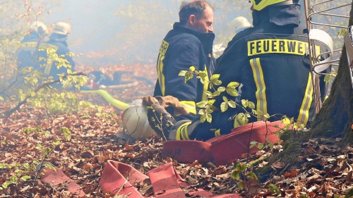 Seit Ostersonntag kämpfen hunderte Feuerwehrleute gegen einen Waldbrand am Heinrichstein bei Saaldorf (Saale-Orla-Kreis). Zweimal dachten die Kameraden, dass sie die Flammen unter Kontrolle gebracht hätten - und wurden eines besseren belehrt. Am Montag hatten die freiwilligen Helfer noch gehofft, dass das Feuer auf rund 3.000 Quadratmetern endlich gelöscht sei. Doch Dienstagvormittag stieg wieder eine dichte Rauchsäule empor - und dieses Mal könnte die Lage noch gefährlicher sein. Denn starke Windböen fachen den Waldbrand immer wieder an, der zurzeit außer Kontrolle scheint. Immer schneller fressen sich die Flammen um den Aussichtspunkt des Heinrichstein herum. Die Feuerwehreinsatzleitung bestätigt vor Ort, dass man mit den Löscharbeiten derzeit nicht hinterherkommt. Ähnlich wie am Ostersonntag soll nun ein Hubschrauber der Bundespolizei angefordert werden, um die Flammen aus der Luft zu bekämpfen. Insbesondere das steile Gelände sorgt für Probleme. Die Kameraden müssen Höhenunterschiede von über 100 Meter am Hang überwinden, Wasser gibt es nur aus der Saaletalsperre. Die Polizei geht davon aus, dass das ursprüngliche Feuer am Sonntag durch das Abbrennen von Feuerwerkskörper entstanden sein könnte. Augenzeugen hatten von einem Knall gesprochen, ehe das Feuer sichtbar wurde. Zudem wurden entsprechende Rückstände am Brandort sichergestellt. Ermittlungen bezüglich Brandstiftung wurden aufgenommen. Foto: NEWS5 / Fricke Weitere Informationen... https://www.news5.de/news/news/read/15363Foto: NEWS5 / Fricke