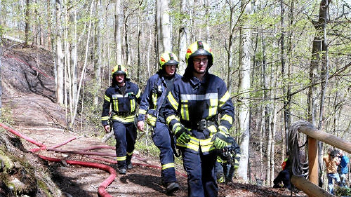 Seit Sonntag kämpft die Feuerwehr gegen die Flammen. Foto: Oliver Nowak