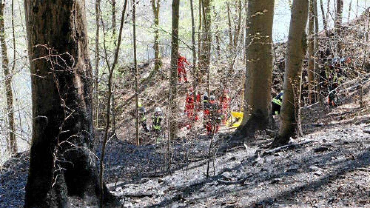 Seit Sonntag kämpft die Feuerwehr gegen die Flammen. Foto: Oliver Nowak