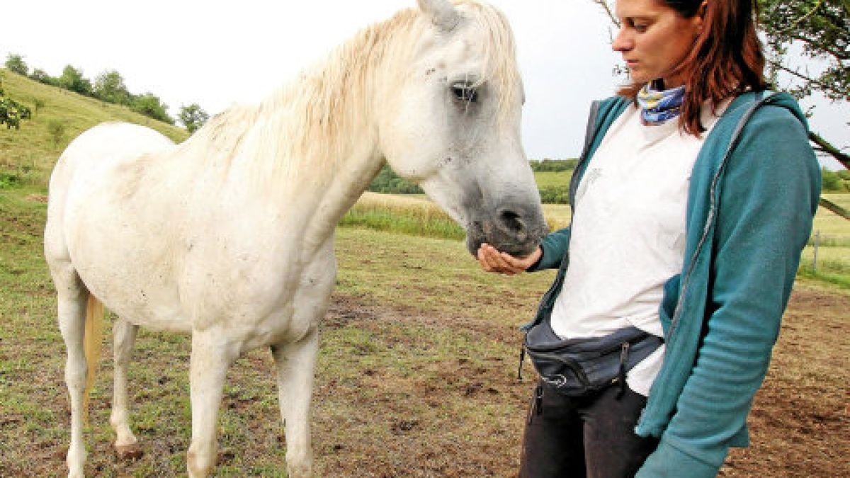 Im Dezember 2018 wurde das Pferd von Claudia Pflüger aus Reinsdorf am Hinterteil verletzt. Angriffe auf Tiere gibt es immer wieder.Foto: Wilhelm Slodczyk