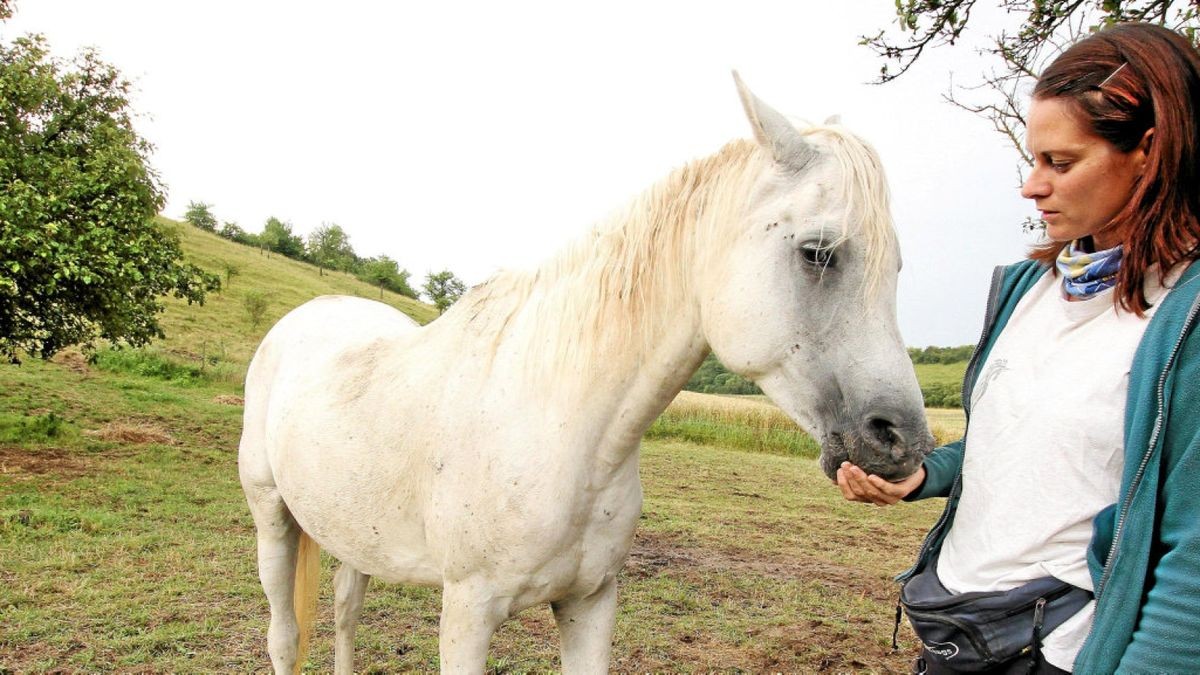 Im Dezember 2018 wurde das Pferd von Claudia Pflüger aus Reinsdorf am Hinterteil verletzt. Angriffe auf Tiere gibt es immer wieder.