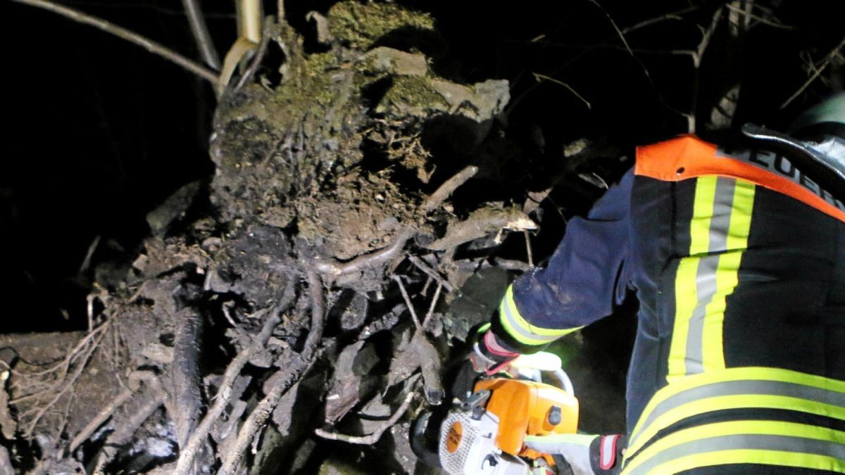 Ein Feuerwehrmann aus Oettersdorf schneidet den Baumstamm mit dem Glutnest auf.