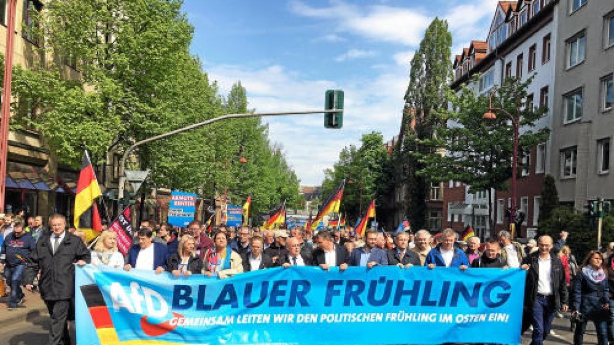 Bilder von der AfD-Kundgebung zum 1. Mai in Erfurt. Björn  Hecke spricht.