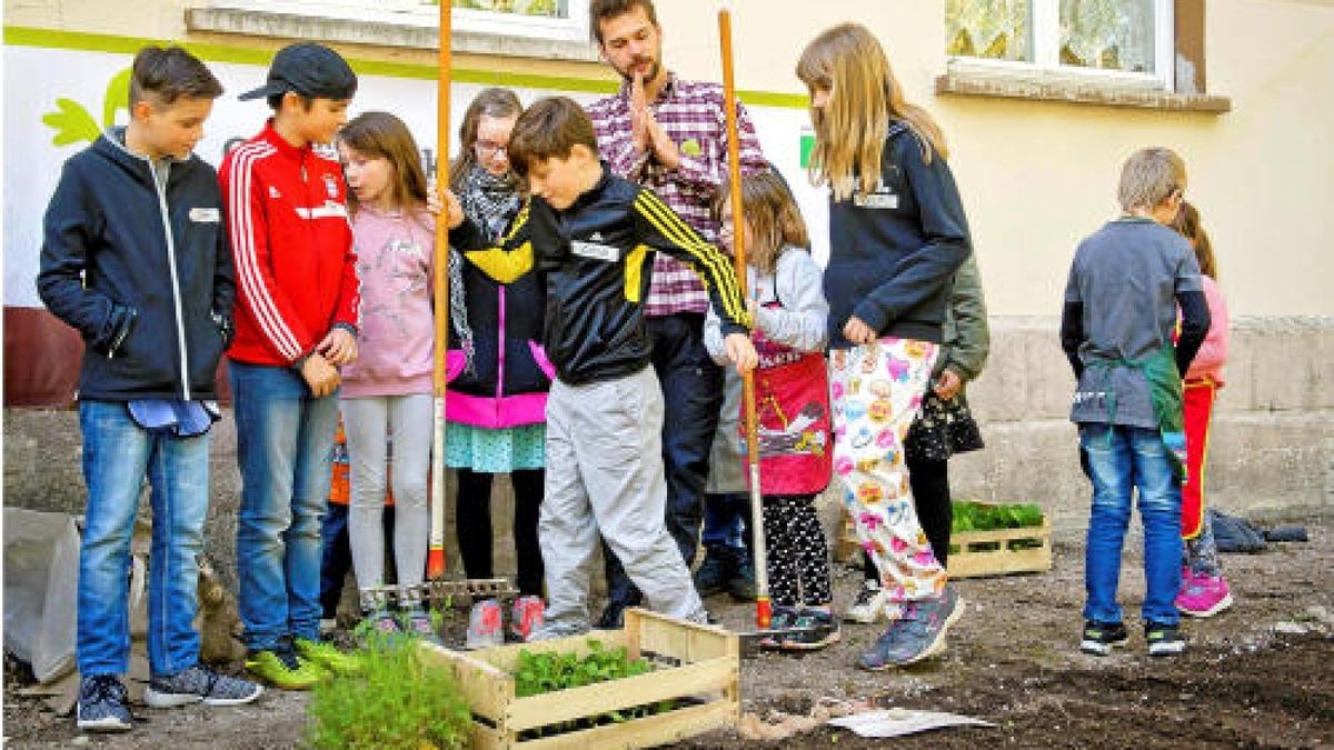 Unterstützt von der Gemüseakademie Potsdam legten die Hufeland-Grundschüler in Bad Langensalza am Montag Beete mit Salat, Fehnchel und Pastinaken an. Verwendet wurde ausschließlich Biosaatgut. TA-Foto: Daniel Volkmann