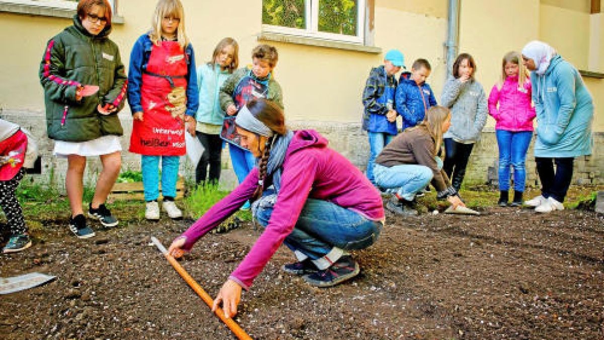 Unterstützt von der Gemüseakademie Potsdam legten die Hufeland-Grundschüler in Bad Langensalza am Montag Beete mit Salat, Fehnchel und Pastinaken an. Verwendet wurde ausschließlich Biosaatgut. TA-Foto: Daniel Volkmann