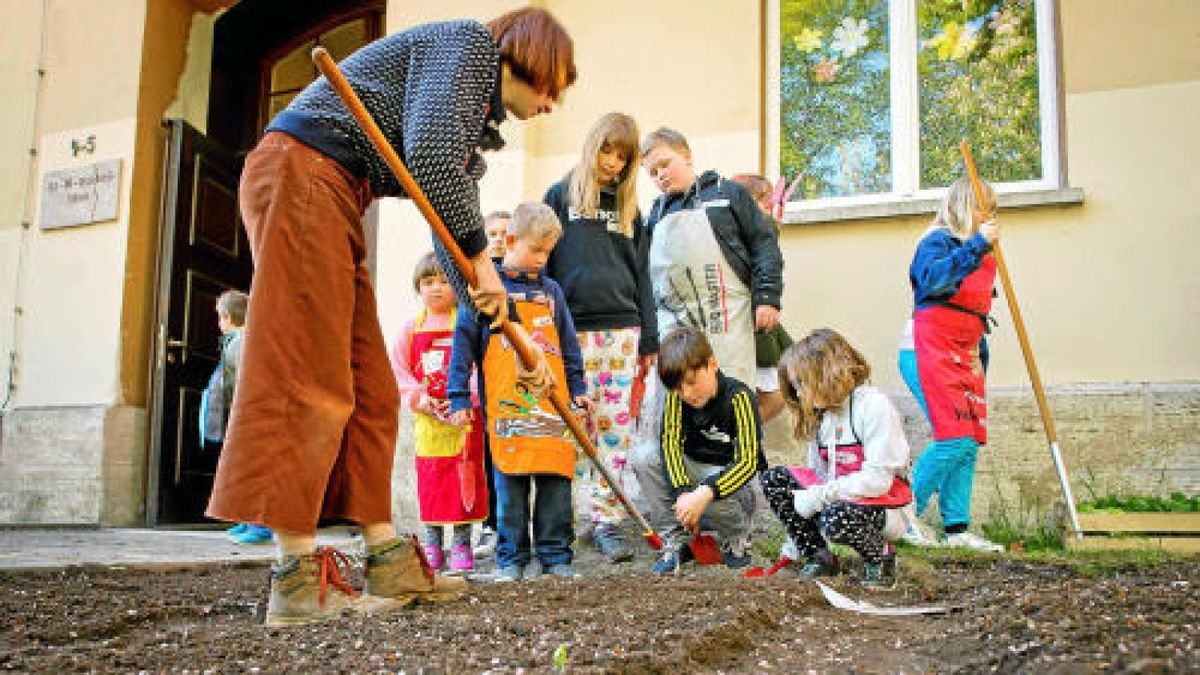 Unterstützt von der Gemüseakademie Potsdam legten die Hufeland-Grundschüler in Bad Langensalza am Montag Beete mit Salat, Fehnchel und Pastinaken an. Verwendet wurde ausschließlich Biosaatgut. TA-Foto: Daniel Volkmann